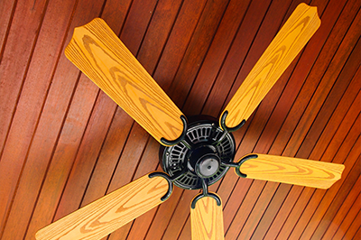 Ceiling Fan